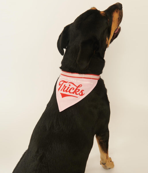 : Personalized Dog Bandanas - Custom Your Football Team