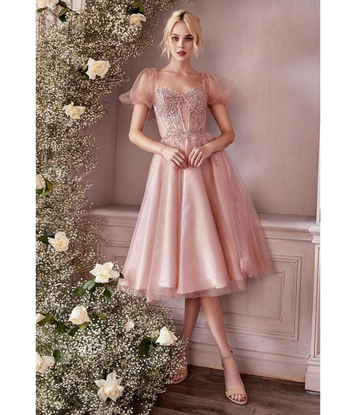 Cinderella Divine Blush Pink Glitter Floral Swing Prom Dress Unique Vintage