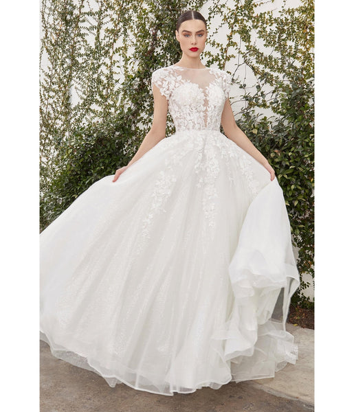 Retro & Vintage Ivory Floral Glitter Tulle Bridal Ball Gown