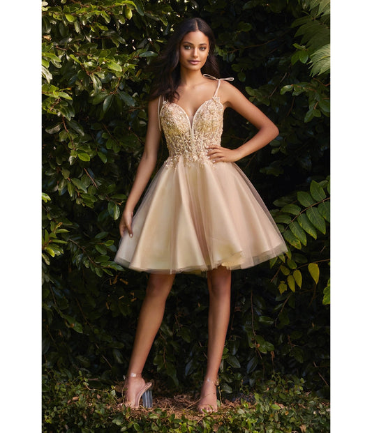 Cinderella Divine Plus Size Red Glitter Corset Prom Ball Gown – Unique  Vintage